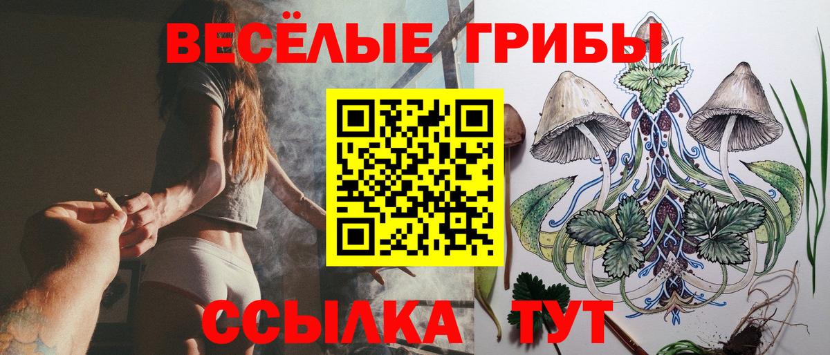 Псилоцибиновые грибы GOLDEN TEACHER Новомосковск