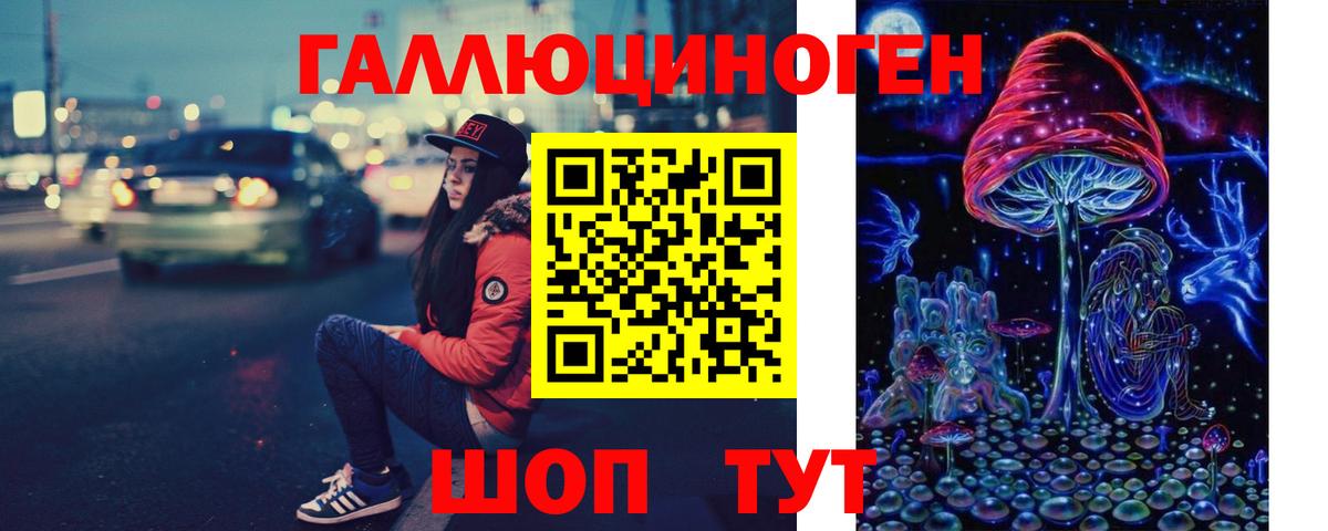 ГАШ Новомосковск
