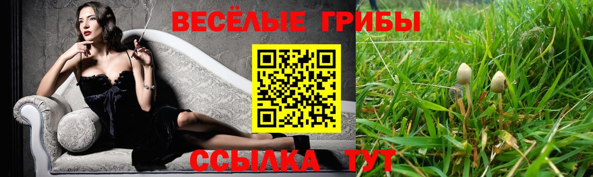 Псилоцибиновые грибы Cubensis  Псилоцибиновые грибы прущие грибы  Вход с VPN  Новомосковск 